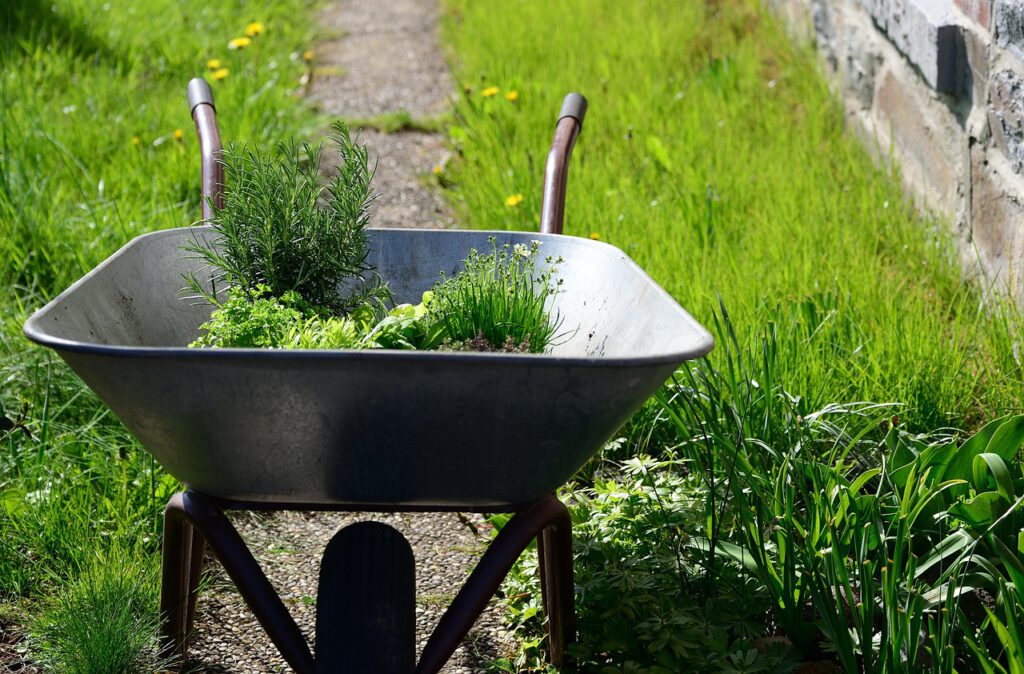 Gartenbegehungen 2025 – Termine