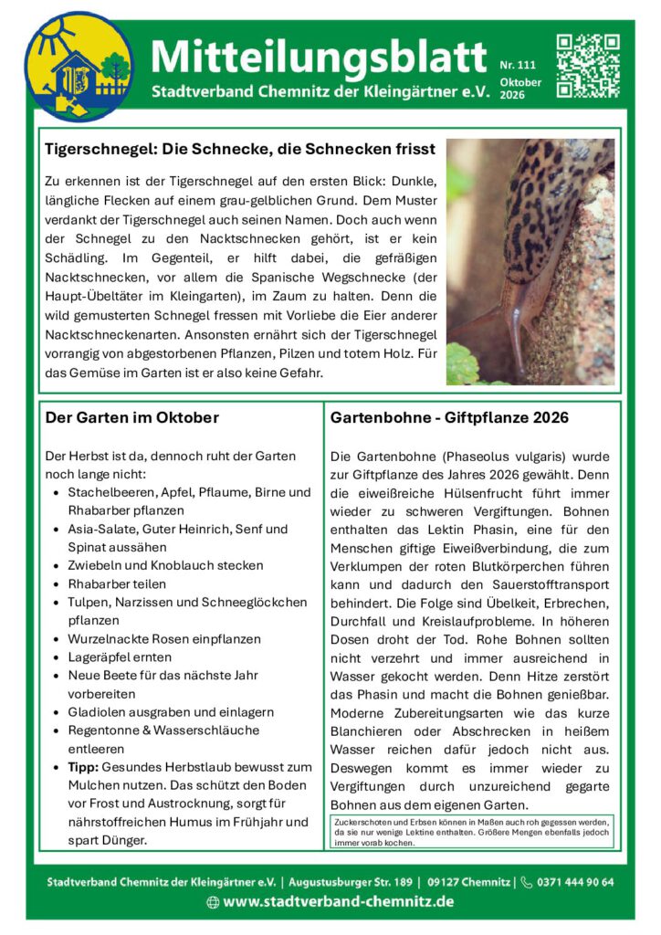 Mitteilungsblatt Nr. 111 Oktober 2026 – Stadtverband der Kleingärtner Chemnitz e. V.